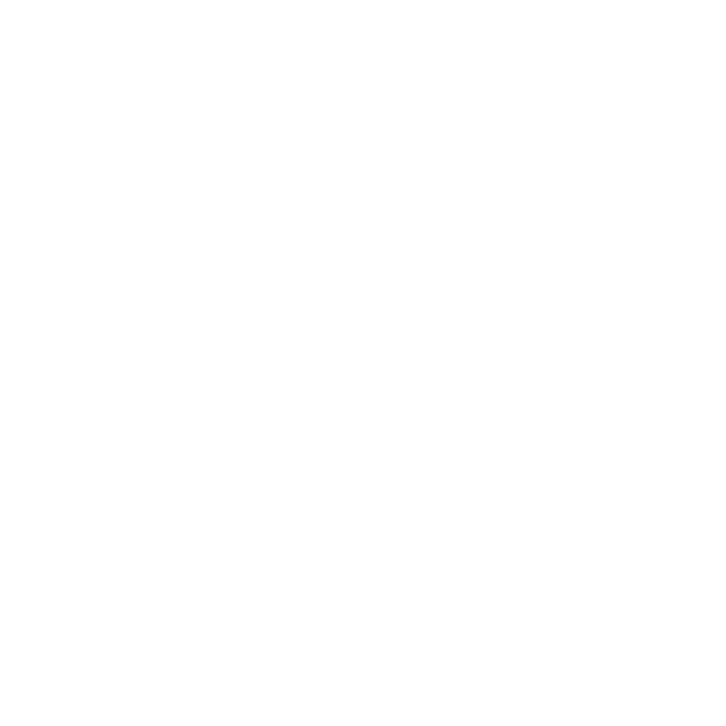 Nett_Solutions_PPC_Logo_White